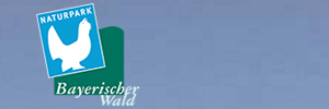 Das Logo :: naturpark-bayer-wald.de
Naturpark Bayerischer Wald e.V.
Der Natur auf der Spur