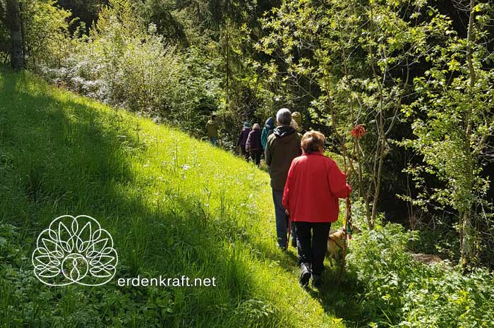 erdenkraft.net
Die Kraft der Natur wahrnehmen, respektieren und mit ihr leben. erdenkraft.net
Die Kraft der Natur wahrnehmen, respektieren und mit ihr leben.